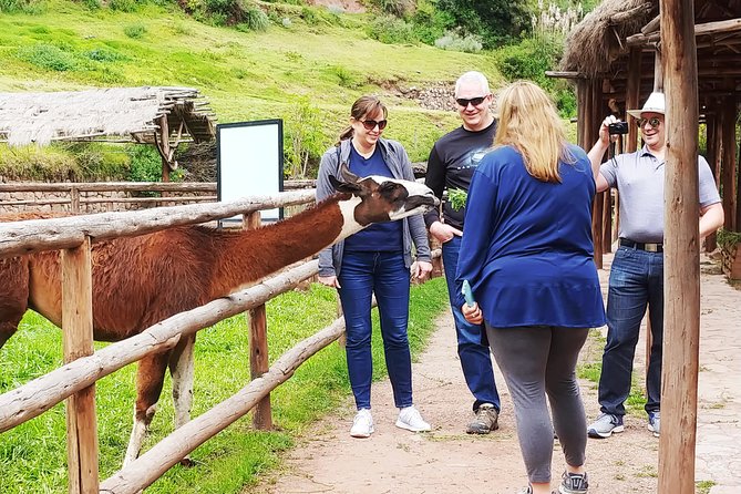 Lares Valley Inca Hot Springs From Cusco With Transfers - Traveler Tips and Reviews
