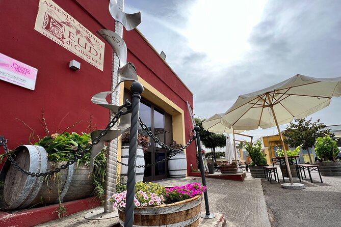 Lecce Winery Tour and Tasting - The Sum Up