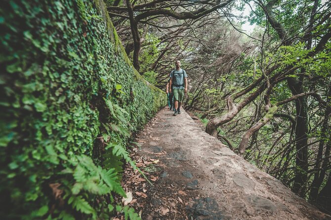 Levada Rabaçal and 25 Fountains Walking Tour - Overall Satisfaction and Nature Experience