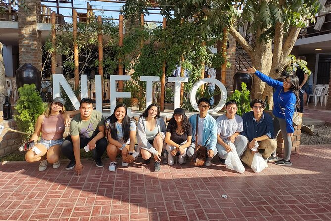 Lima: Ballestas Islands, Winery & Huacachina Oasis Private Tour - The Sum Up
