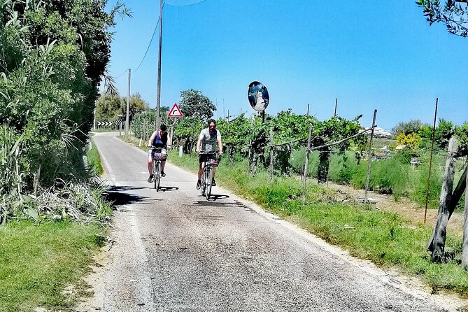 Lio Piccolo: Flamingos & Birdwatching Bike Tour in the Venetian Lagoon - Common Questions