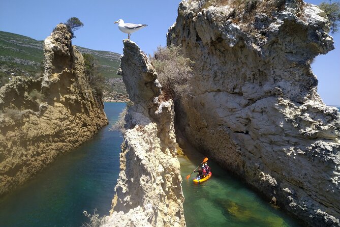 Lisbon Arrábida Natural Park Kayaking Tour With Lunch - Tour Highlights