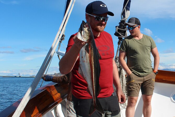 Lofoten Islands Luxury Fishing Trip With Dinner From Svolvær - Dinner Included