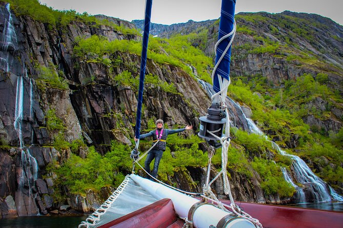 Lofoten Islands Luxury Trollfjord Cruise With Lunch From Svolvær - Price and Terms