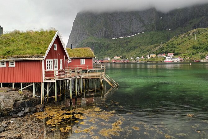 Lofoten PRIVATE Tour From Leknes - Small Group (1-4 Pax) - The Sum Up