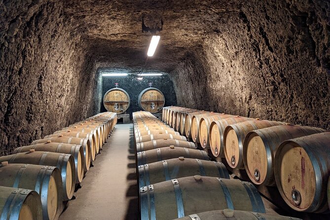 Loire Valley Private One Full Day Tour, With Round Trip Train Tickets From Paris - The Sum Up