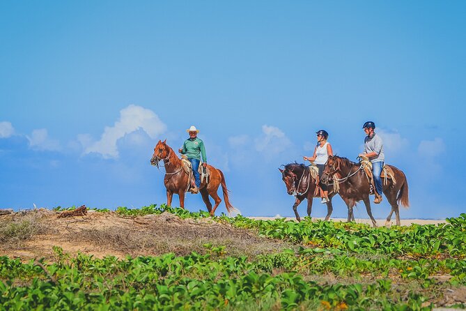 Los Cabos Combo: ATV Horseback Riding - Additional Information