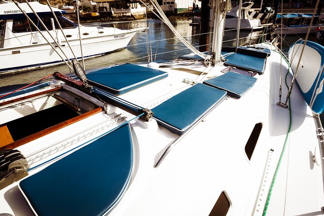 Los Cabos Private Luxury Sailboat Cruise With Snorkeling, SUP  - Cabo San Lucas - Opportunities for Swimming, Snorkeling, and Stand-Up Paddleboarding