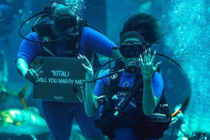 Lost Chamber Aquarium in Atlantis, Dubai - Tips for Visiting Lost Chamber Aquarium