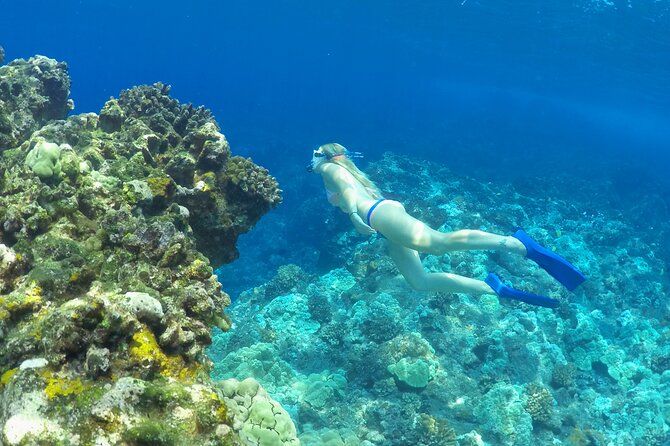 Luxury Kona Coast Snorkel Tour Including Lunch - Copyright and Terms & Conditions Information
