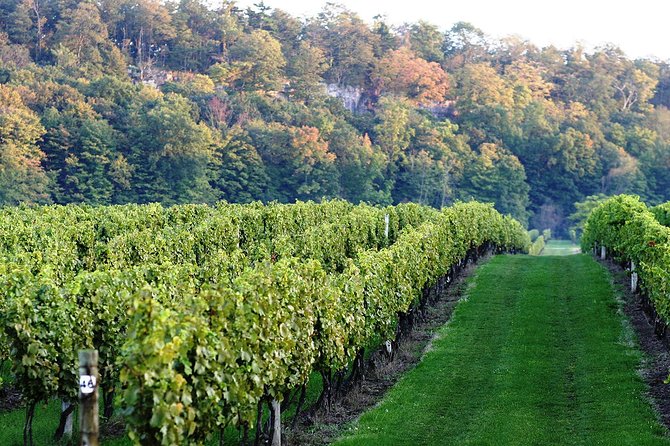 Luxury Private Tour of Niagara Falls From Toronto - The Sum Up