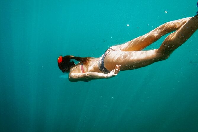 Luxury Snorkeling Tour in Cabo San Lucas - Catamaran Experience