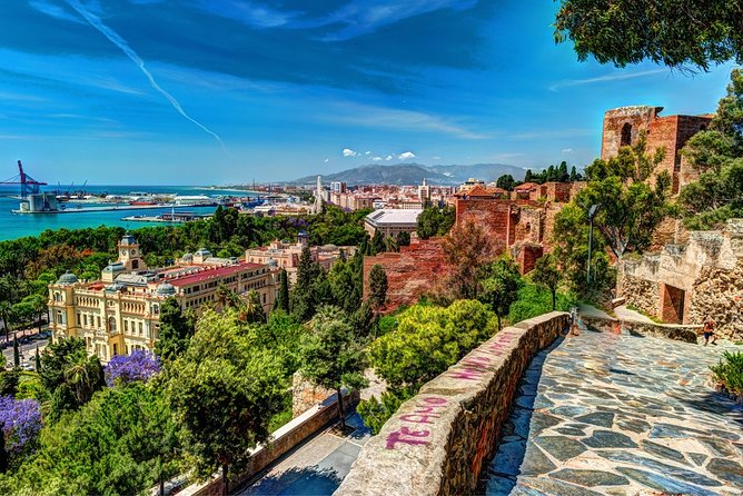 Malaga Private Tours and Excursions From Granada for up to 8 Persons - Common Questions