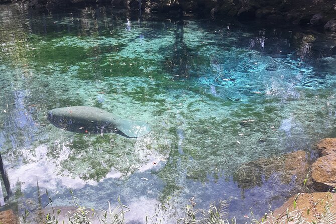 Manatee Kayak Encounter - Directions and Meeting Point