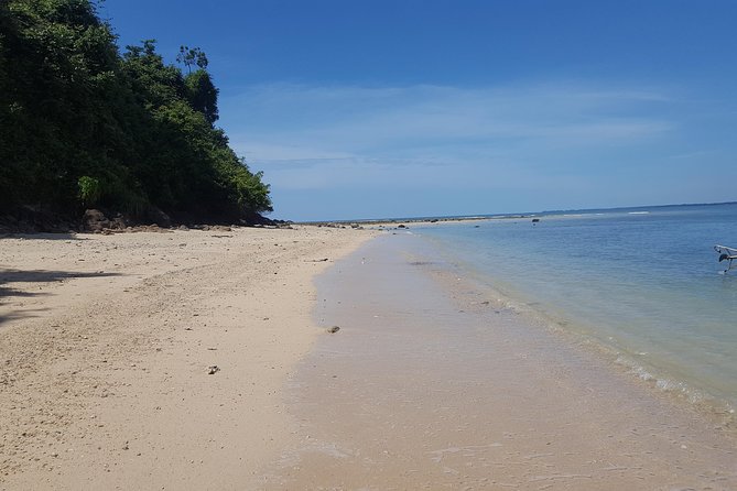 Mangrove Fishing and Relaxing Adventure - Lunch and Refreshments Provided