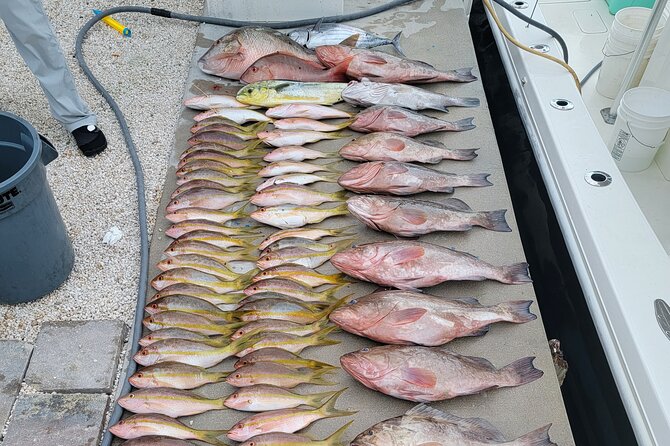 Marathon Florida Keys Fishing Experience - Cancellation Policy