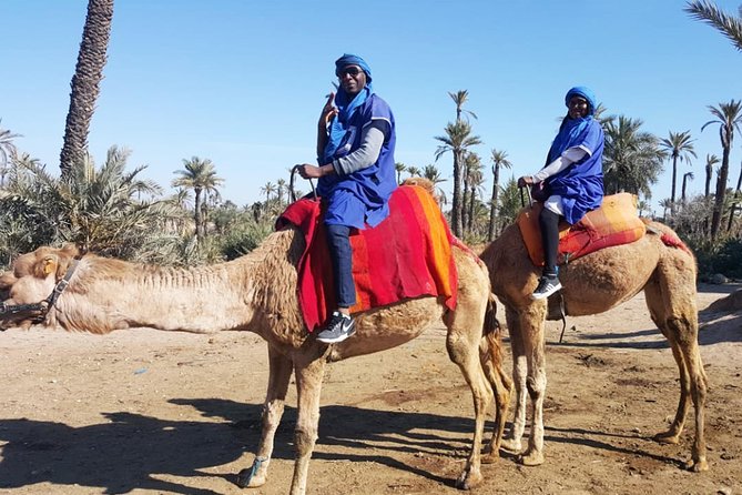 Marrakech Camel Ride & Quad Bike Experience in the Oasis Palmeraie - Contact Information