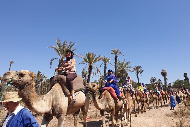 Marrakech Desert Camel Ride - Common Questions