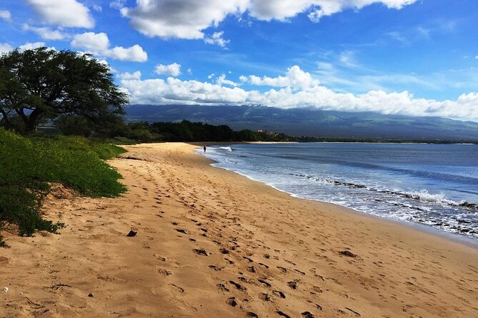Maui Island Private Day Tour - Price and Availability