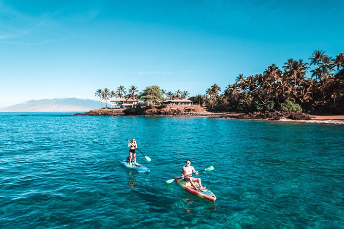 Maui'S ONLY Electric Powered Kayak & SUP Hybrid Rentals. - The Sum Up
