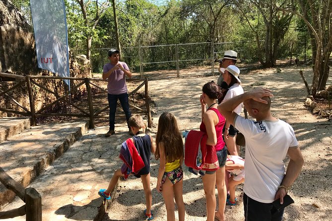 Mayan Underworld Experience (Cenote-Museum) - Traveler Reviews: Hear What Others Have to Say