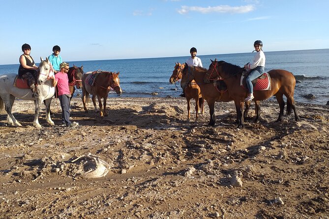 Megalochori Horseback Excursion  - Santorini - Cancellation Policy