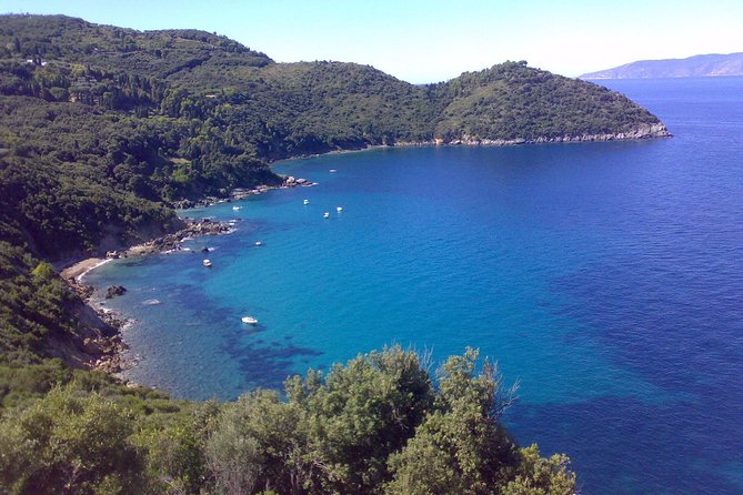Minicruise Giglio And Giannutri Islands - Opportunity for Swimming and Snorkeling