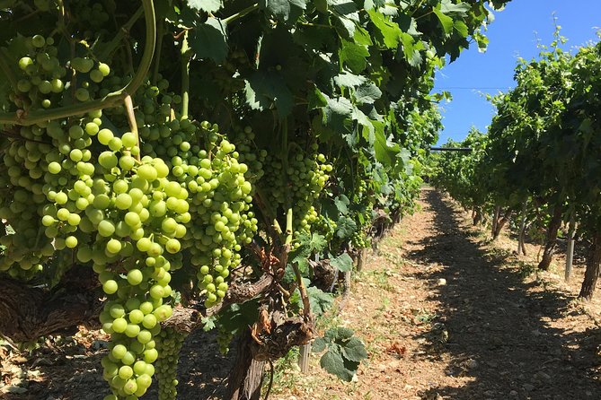MiniVan for Private Tour Transfer in Heraklion Crete - Additional Activities and Tastings