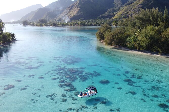 Moorea Half Day Private Tour With Snorkeling and Cruising the Lagoon - Common Questions