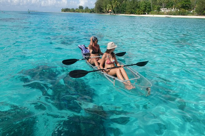 Moorea Lagoon Tour by Transparent Kayak - Guides Expertise and Charm