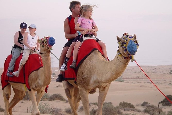 Morning Desert Safari With Quad Bike - The Sum Up