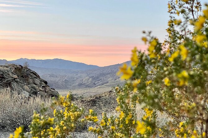 Mountain Sunrise Hike and Meditation in Palm Springs - Common Questions