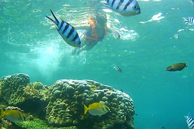 Mr. Tu Day Trip to Angthong Marine Park by Speed Boat From Koh Samui - The Sum Up