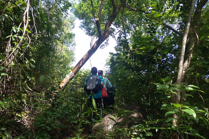 My Son Sanctuary and Mountain Trekking - The Sum Up