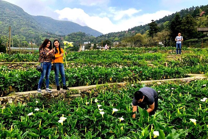 N102 Yangmingshan Beitou Freshwater Day Tour (10h) - The Sum Up