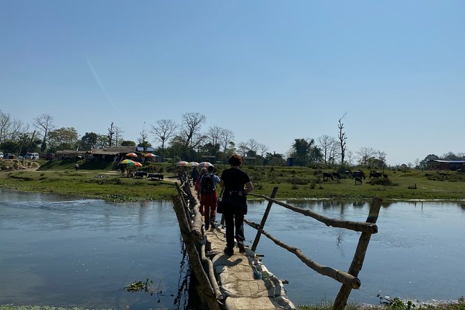 Nature Walk in Chitwan Jungle Safari With Guide - Tips for a Memorable Chitwan Jungle Safari