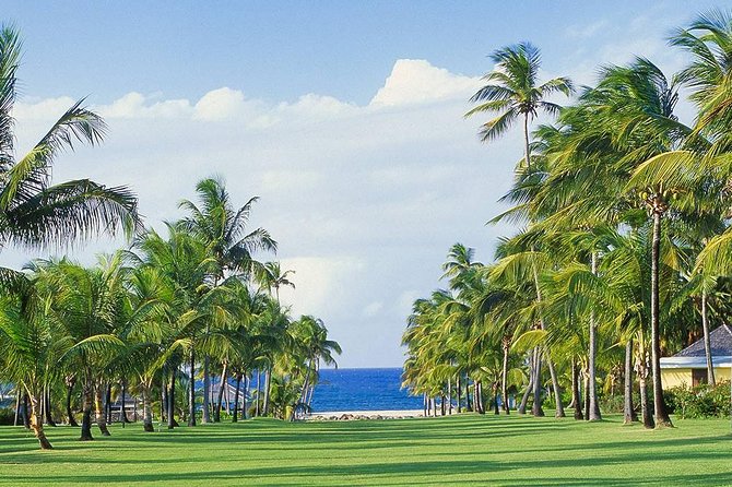 Nevis Panoramic Drive and Beach Experience - Logistics and Departure Details