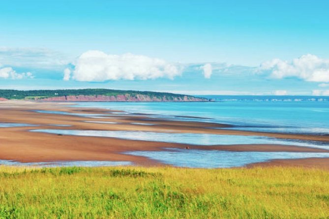 New Brunswick Shore Excursion: Bay of Fundy and More Highlights Tour - The Sum Up