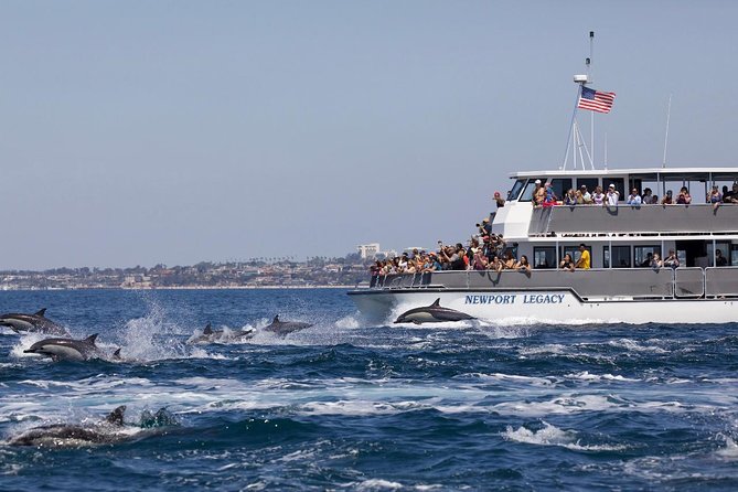 Newport Beach Whale and Dolphin Watching Cruise - Cancellation and Refund Policy