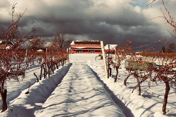 Niagara-on-the-Lake: Private Ice and Sparkling Wine Tasting  - Niagara Falls & Around - The Sum Up