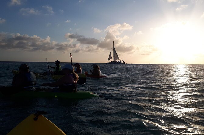 Night Glass Kayak Tour - Illuminated Coral Reefs and Colorful Fish