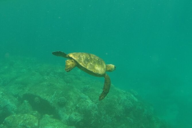 North Shore and Oahu Tour From Honolulu With Kayak or SUP - Inclusions: Private Transportation, Equipment, Lunch Provided