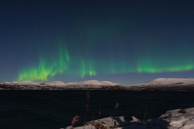 Northern Lights Tour From Kiruna to Abisko With Dinner - The Sum Up
