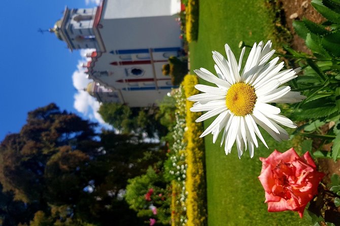 Oaxaca Private Full-Day Sightseeing Tour  - Oaxaca City - Common Questions