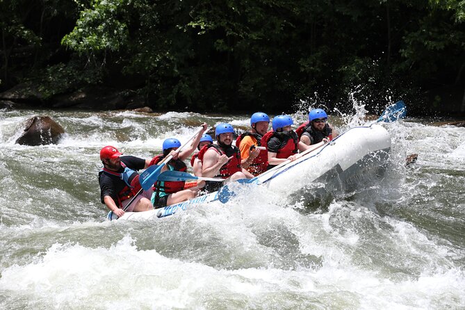 Ocoee River Middle Whitewater Rafting Trip - Outstanding Reviews