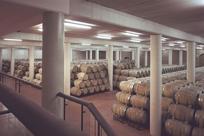 Olive Oil and Navarre Winery Visit With Tastings and Lunch in Small Group Tour - Transportation and Pick-up