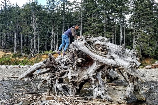 Oregon Coast Tour and Wine Tasting From Portland- Full Day Tour - Common Questions