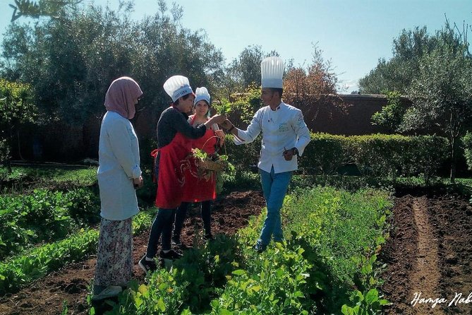 Organic Moroccan Cooking Class With Chef TARIK - Feast and Enjoyment