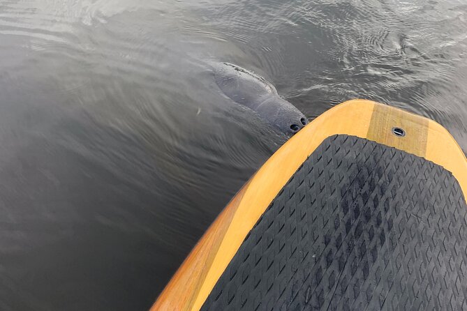 Orlando Manatee and Olde Florida History Adventure Tour - Common Questions