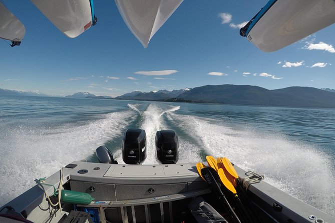 Paddle With Whales! Kayak Adventure - Common Questions